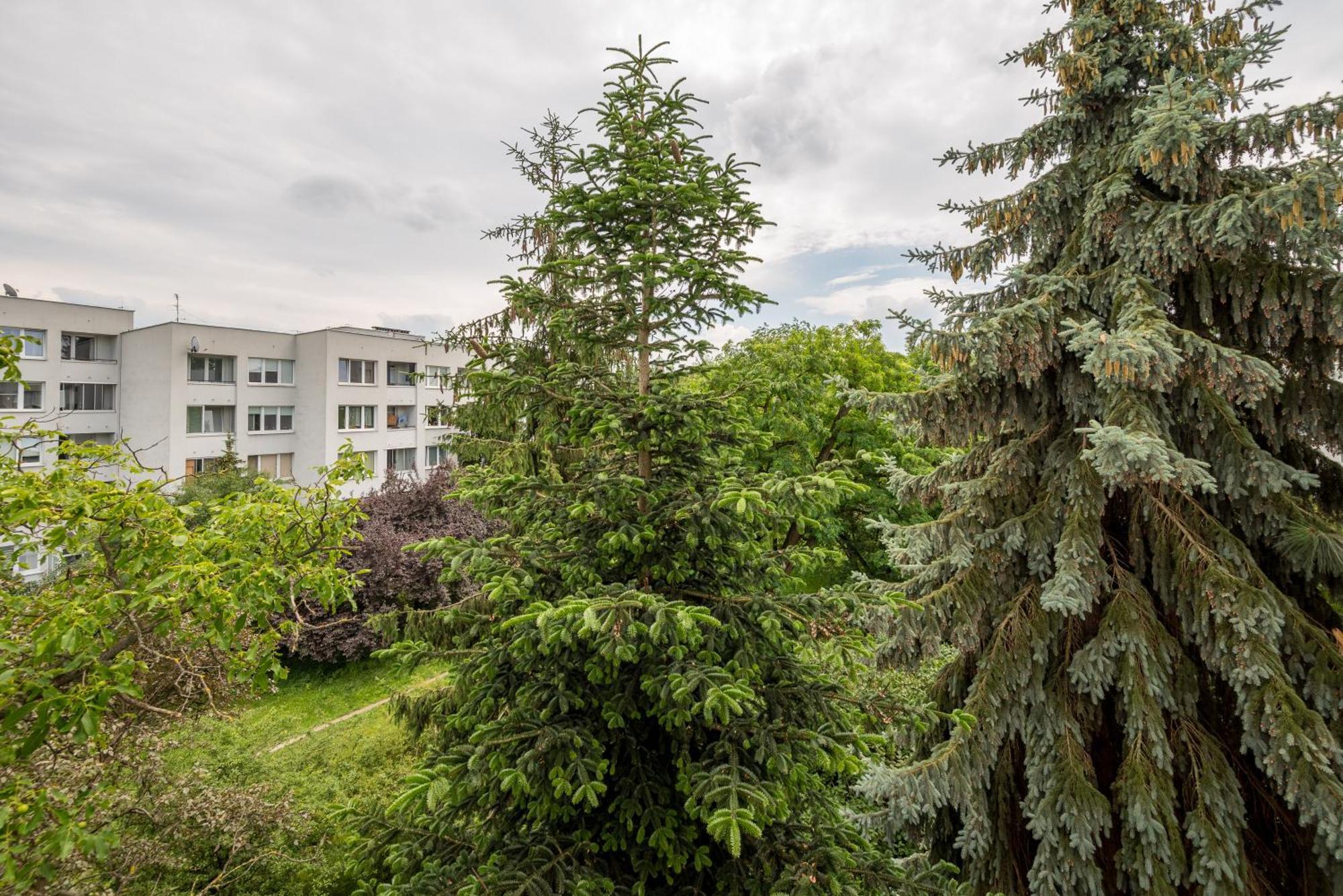Embassy Avenue At Royal Park Apartment Warsaw